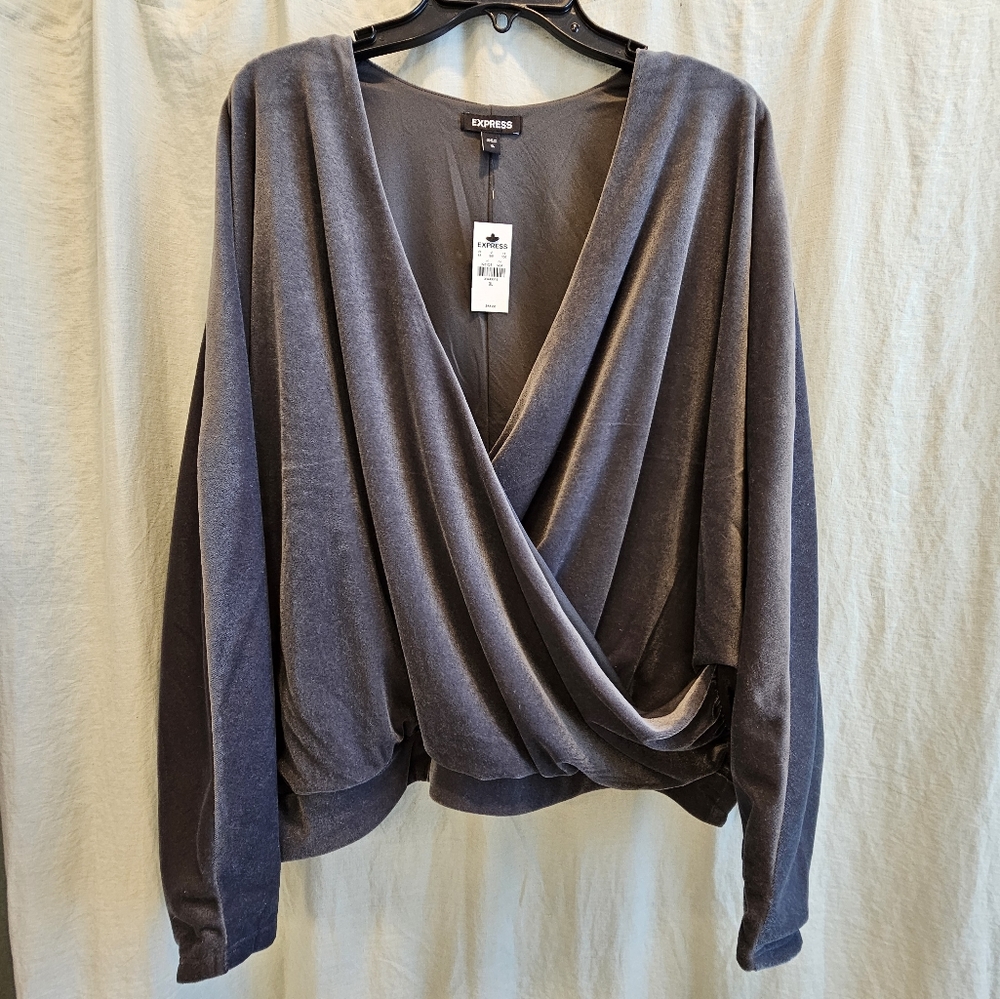 Express Grey Velvet Top